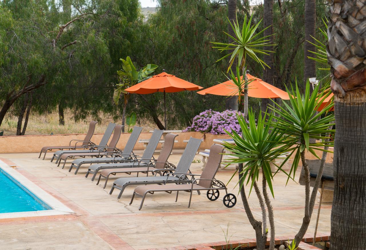 Horsepower Ranch Otel Ensenada Dış mekan fotoğraf